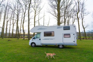 Bir köpekle birlikte doğaya park edilmiş bir karavan.