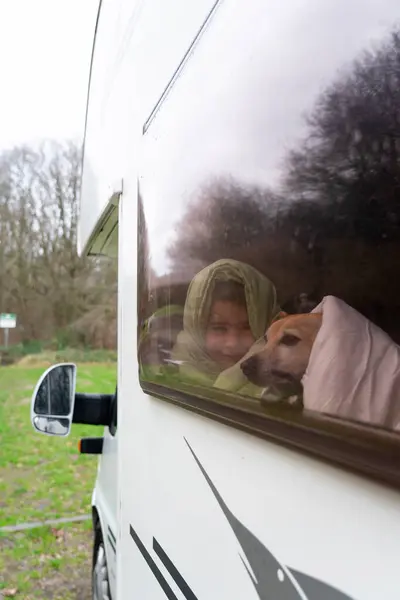 Boy and dog looking out the window of a motorhome in winter