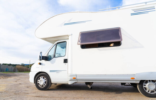 Собака смотрит в окно дома на колёсах