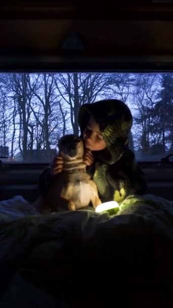 Мальчик Собака Внутри Дома Колёсах Ночью — стоковое видео