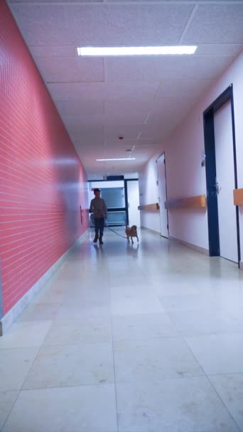 Menino Com Seu Cachorro Visitando Hospital — Vídeo de Stock