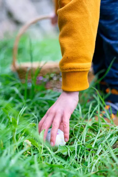 Child\'s hand picking up a hidden Easter egg
