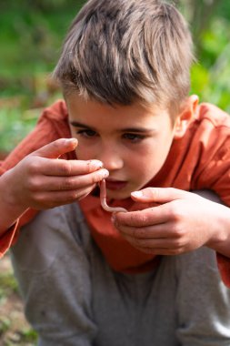 Çocuk elinde bir solucana bakıyor.