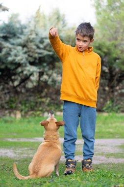 Çocuk bahçede köpeğine ödül veriyor.