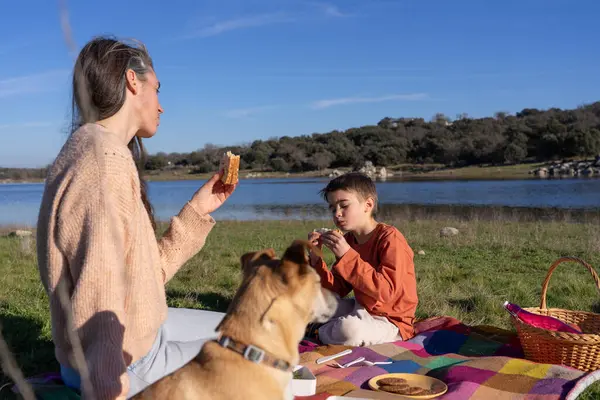 Mother and son having a picnic in nature with their dog