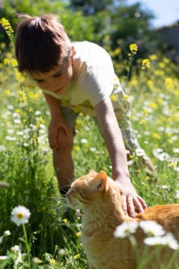 Beyaz çocuk baharda bahçede kedisini okşuyor.