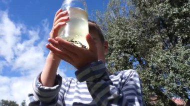 Çocuk doğada iribaşların olduğu cam bir kavanoza bakıyor.