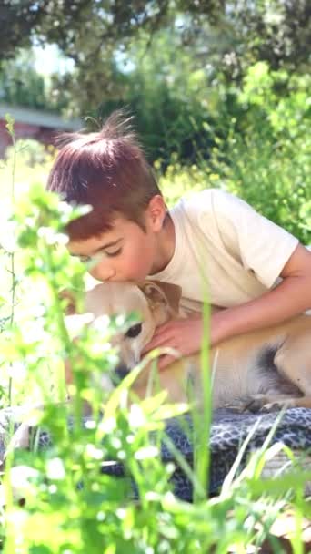Kaukázusi Iskolás Fiú Ölelés Kutyája Természetben — Stock videók