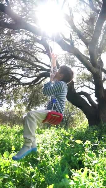 Garçon Jouant Sur Une Balançoire Suspendue Arbre Dans Nature — Video