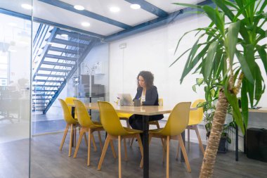 Girişimci kadın ortak çalışma odasında çalışıyor.