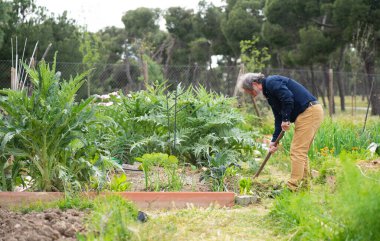 Bahçede çalışan 60 yaşından büyük gri saçlı bir adam.