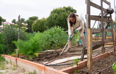 50 yaşından büyük bir kadın halk bahçesinde çalışıyor.