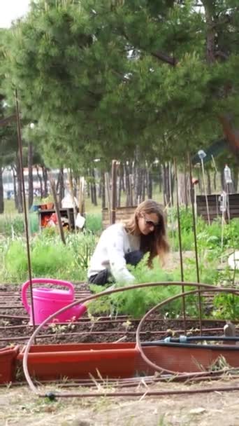 Кавказька Жінка Працює Міському Саду Громади Вертикальне Відео — стокове відео
