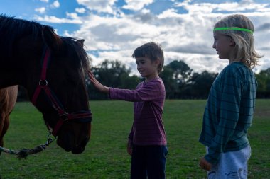 8 yaşındaki çocuklar doğada at besliyor.
