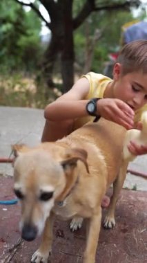 Beyaz çocuk köpeğini dışarıda süngerle yıkıyor.