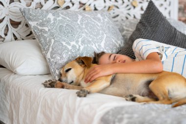 Beyaz çocuk köpeğiyle yatakta uyuyor.