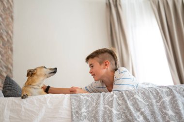 Beyaz çocuk küçük köpeğini yatakta okşuyor.
