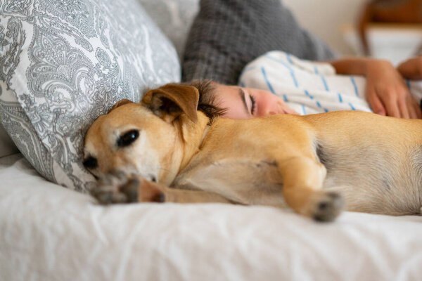 Boy with his dog resting in bed