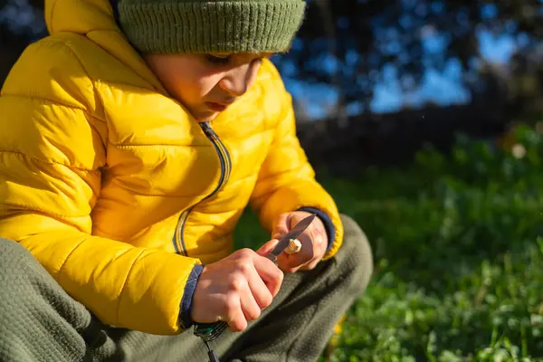 stock image Boy peeling a stick with a razor in nature in warm clothes. risk play