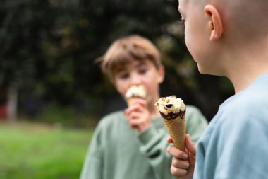 Parkta dondurma yiyen iki genç çocuk neşeli bir yaz sahnesi yaratıyor.