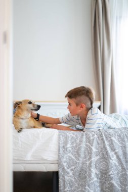 Genç bir çocuk köpeğiyle yatakta etkileşime giriyor, sevgi ve arkadaşlık gösteriyor.