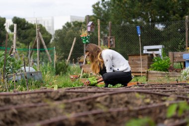 Kentsel bir bahçede taze meyve toplayan dişi çiftçi, emeğinin meyvelerinin tadını çıkarıyor.