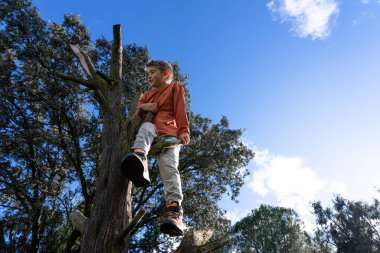 Çocuk ormanda ağaca tırmanırken eğleniyor, doğa aktivitelerinin tadını çıkarıyor ve doğayı keşfediyor.