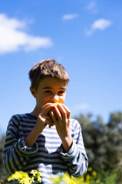 Çocuk taze, olgun bir elmanın tadını çıkarıyor, sağlıklı beslenme alışkanlıklarını ve doğayla bağlantısını teşvik ediyor.