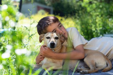 Bahçede bir battaniyenin üzerinde güneşli bir yaz gününün tadını çıkarırken evcil köpeğini kucaklayan genç bir çocuk.
