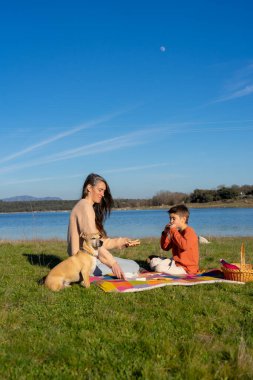 Anne ve oğul, güneşli bir günde köpekleriyle göl kenarında pikniğin tadını çıkarıyorlar.