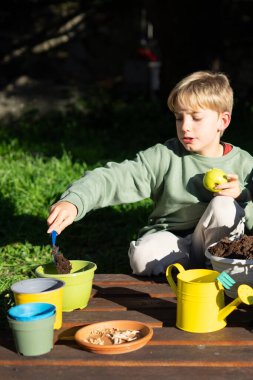 Bir bahar günü bahçeye çiçek eken bir çocuk.