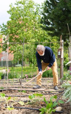 Halk bahçesinde çapa kullanan, bitkilerle ilgilenen ve sürdürülebilir tarımı destekleyen yaşlı bir adam.
