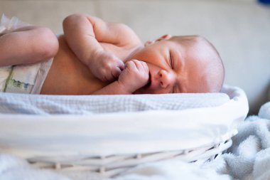Yeni doğmuş bebek beyaz hasır sepetinde huzur içinde uyuyor, parmaklarını emiyor.