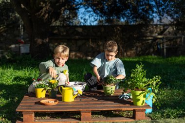 İki kardeş, bahçedeki ahşap bir palete çiçek ve ot naklediyor.