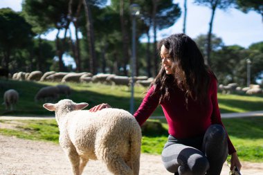 Genç bir kadın, güneşli bir günde arka planda otlayan koyun sürüsüyle çiftlikte bir kuzuyu okşuyor.