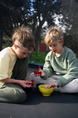 İki genç kardeş trambolinde oturmuş güneşli bir günde taze ahududu yiyorlar.