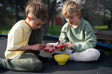 Trambolinde oturmuş kaseden taze ahududu yiyorlar.