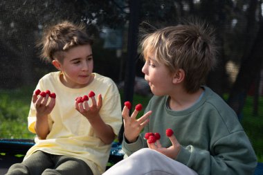Arka bahçedeki trambolinde taze ahududu paylaşan iki genç çocuk sağlıklı bir atıştırmalığın tadını çıkarıyorlar.