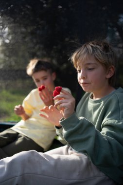 Güneşli bir günde taze ahududu yiyen iki çocuk, doğanın basit zevklerini yaşıyorlar.