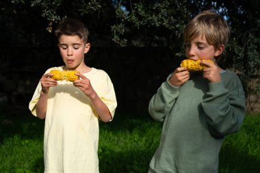 Doğal ortamında mısır toplayan iki genç çocuk, mısır topluyor.