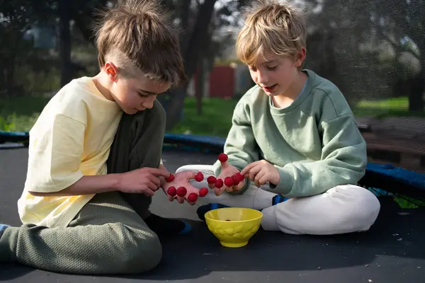 Trambolinde oturmuş kaseden taze ahududu yiyorlar.