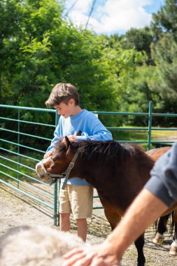Mutlu çocuk, bir çiftlikte midilliyi okşuyor. Doğayla iç içe güneşli bir günün tadını çıkarıyor.