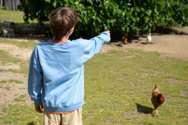 Çocuk serbest alandaki tavuklara işaret ederek çiftlik hayvanları ve tarım hakkında bilgi ediniyor.