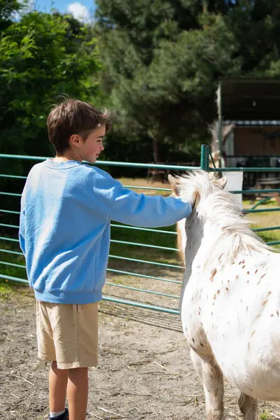 Çocuk otlakta midilli besliyor, çiftlikte ya da çiftlikte yaz gününün tadını çıkarıyor.