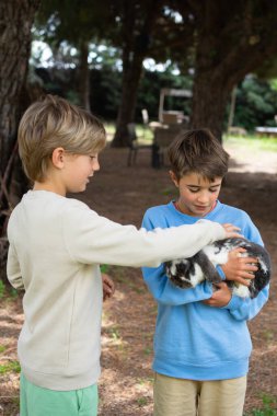 İki kardeş, tüylü bir tavşanı nazikçe kucaklıyor ve okşuyor çocukluk masumiyetini ve hayvanlara olan sevgisini sergiliyorlar.