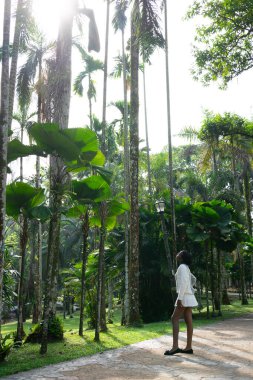 Genç bir kadın, bereketli bir tropik botanik bahçesinde yürürken, doğal güzelliğin tadını çıkarırken, uzun palmiye ağaçlarına hayran.