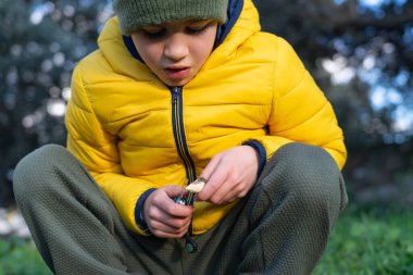 Çocuk ateşle oynuyor ve parkta çakmakla küçük bir odun parçası yakıyor.