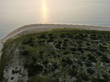 Yeşil çimenleri olan kumlu bir sahilin güzel bir görüntüsü.
