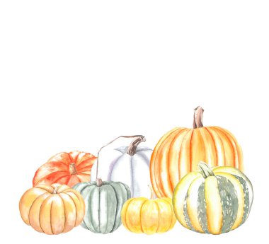 El çizimi balkabağı. suluboya resimleme