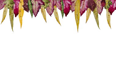 sonbahar sınır çerçevesini terk etti.